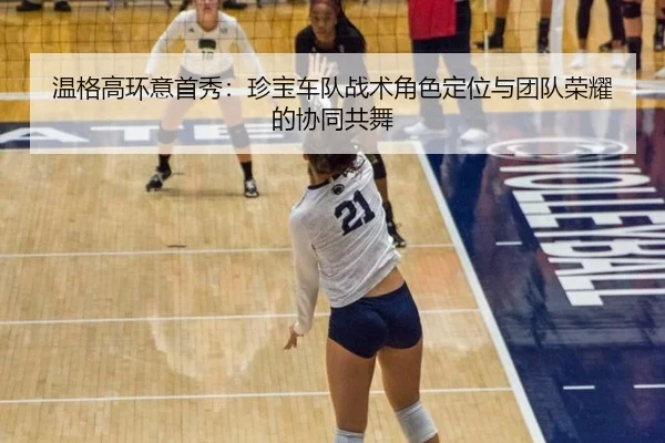 wen-ge-gao-huan-yi-shou-xiu-zhen-bao-che-dui-zhan-shu-jue-se-ding-wei-yu-tuan-dui-rong-yao-de-xie-tong-gong-wu-3-474.jpg
